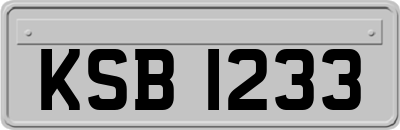 KSB1233