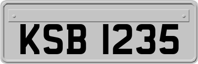 KSB1235
