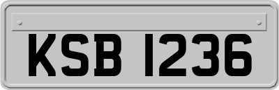 KSB1236