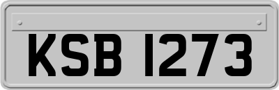 KSB1273