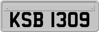 KSB1309