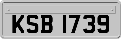 KSB1739