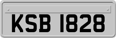 KSB1828