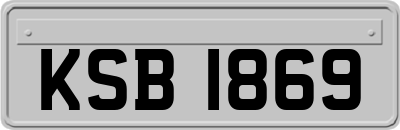 KSB1869