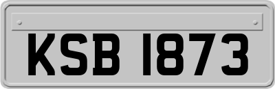 KSB1873