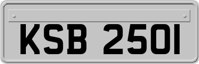 KSB2501