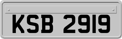 KSB2919
