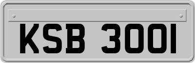 KSB3001