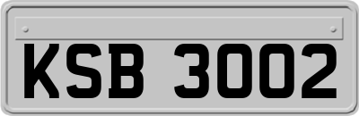 KSB3002