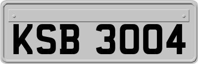 KSB3004