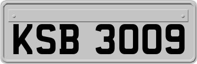 KSB3009
