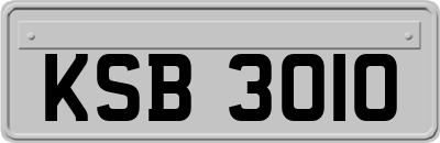 KSB3010