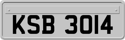 KSB3014