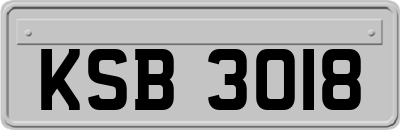 KSB3018