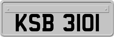 KSB3101