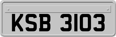 KSB3103