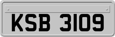 KSB3109