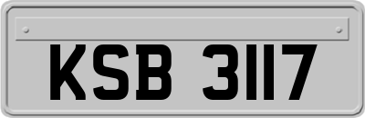 KSB3117