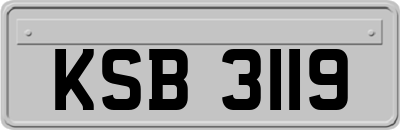 KSB3119