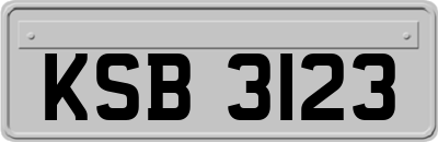 KSB3123