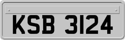 KSB3124