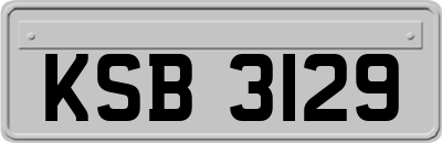 KSB3129