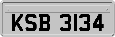 KSB3134
