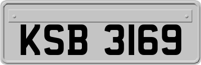 KSB3169