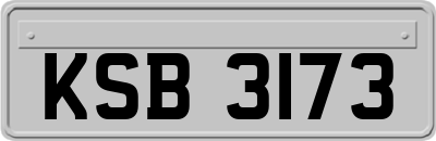 KSB3173