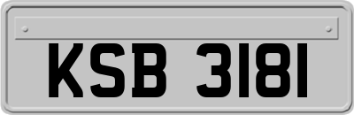 KSB3181