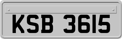 KSB3615