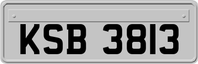 KSB3813