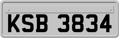 KSB3834