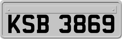KSB3869