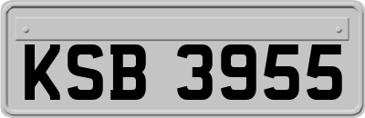 KSB3955