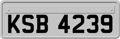KSB4239