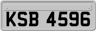 KSB4596