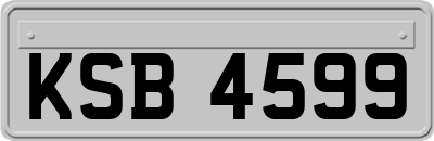 KSB4599