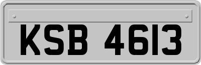 KSB4613