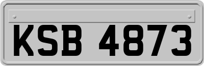 KSB4873