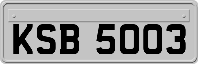 KSB5003