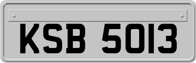 KSB5013