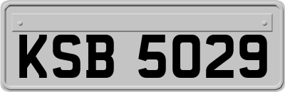 KSB5029