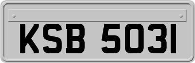 KSB5031