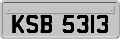 KSB5313