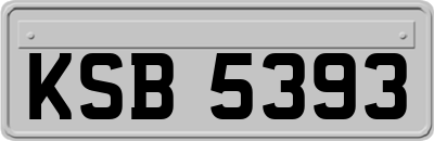 KSB5393