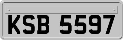 KSB5597