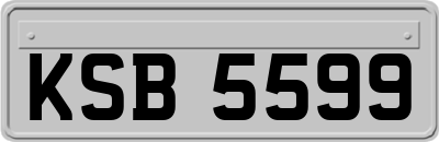 KSB5599