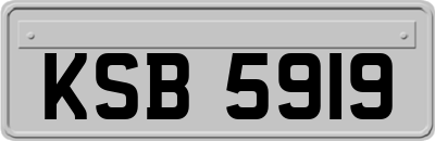 KSB5919