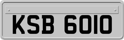 KSB6010